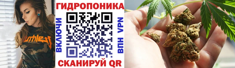 Конопля индика  Избербаш 